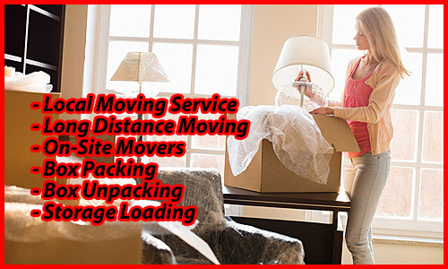 Packers And Movers Noida Sector 116